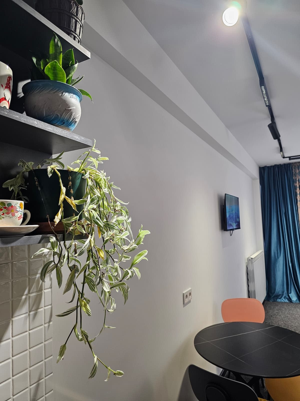 Dining area with plants and TV